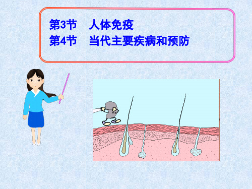 七年级生物下册 第13章 第3-4节 人体免疫与当代主要疾病和预防