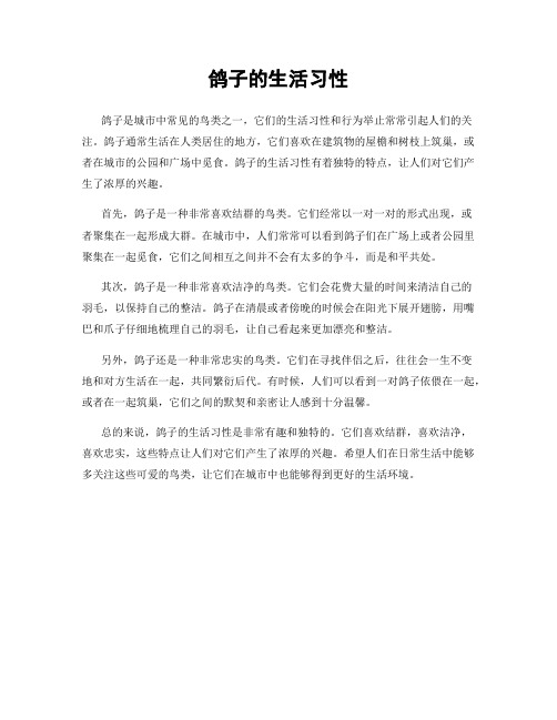 鸽子的生活习性