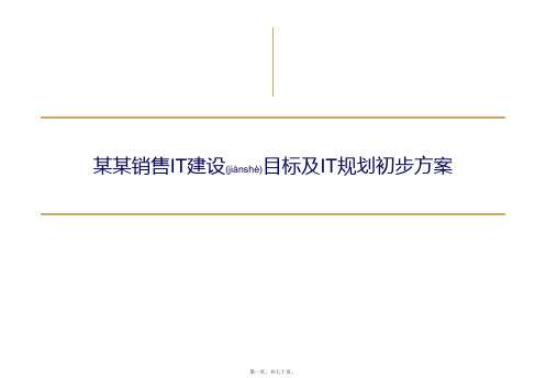 IT建设目标和初步规划(PPT)