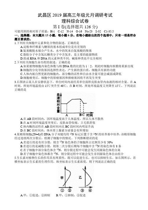 湖北省武汉市2019届高三调研考试理科综合试题及答案