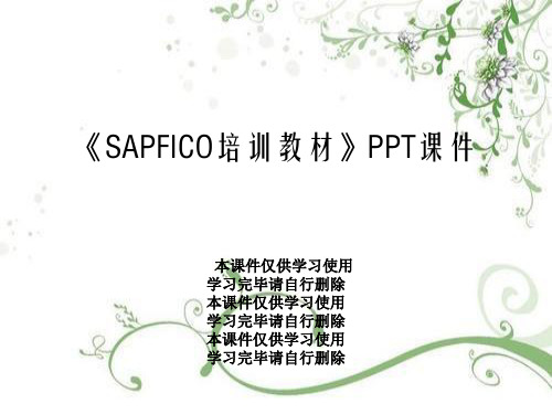 《SAPFICO培训教材》PPT课件