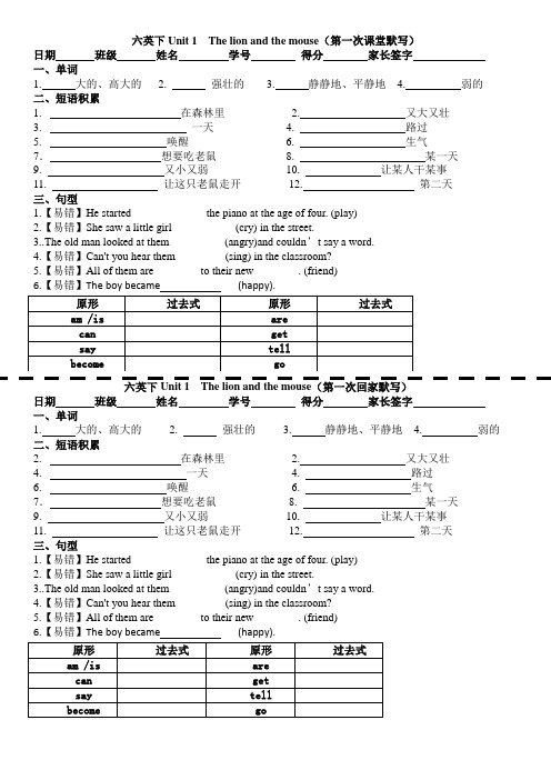 译林 英语 六年级下册 全册 配套随堂默写纸