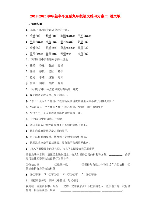 2019-2020学年差半车麦秸九年级语文练习方案二 语文版.doc