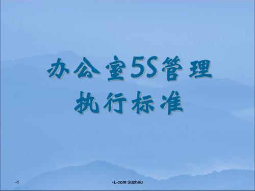 《办公室5S管理执行标准》