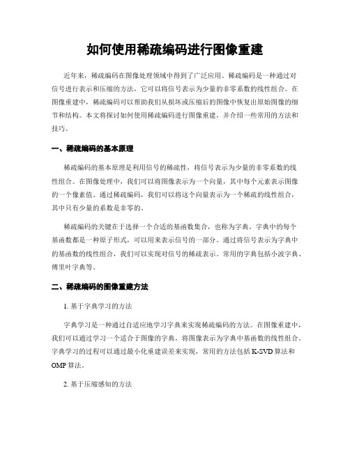 如何使用稀疏编码进行图像重建