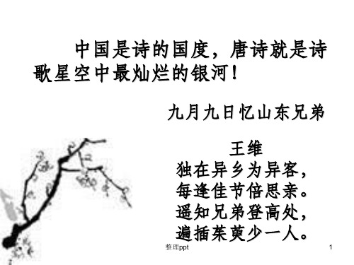 《登高》杜甫课件