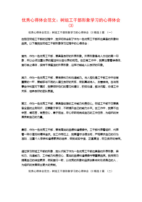 优秀心得体会范文：树组工干部形象学习的心得体会2篇