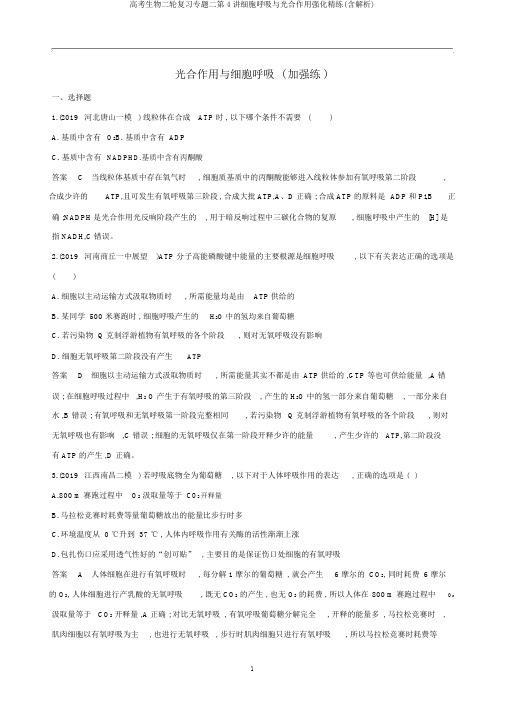高考生物二轮复习专题二第4讲细胞呼吸与光合作用强化精练(含解析)
