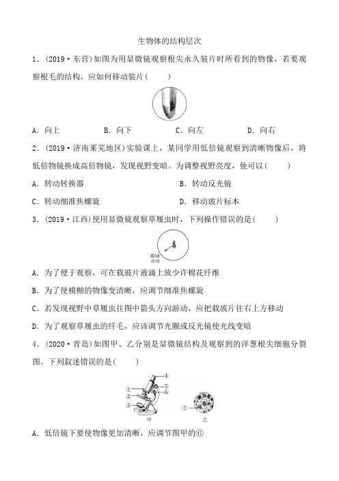 2021年春人教版生物中考第一轮复习训练   生物体的结构层次