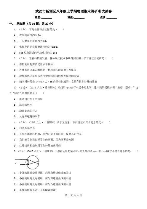 武汉市新洲区八年级上学期物理期末调研考试试卷