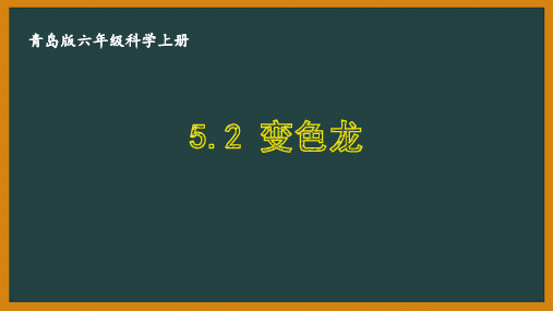 六三制青岛版六年级科学上册第五单元5.2《变色龙》课件