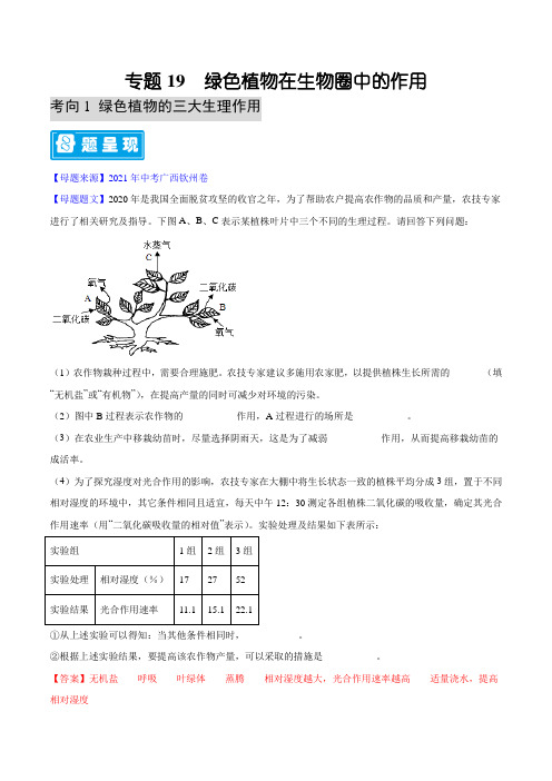 专题19  绿色植物在生物圈中的作用-备战2022年中考生物母题题源解密(解析版)