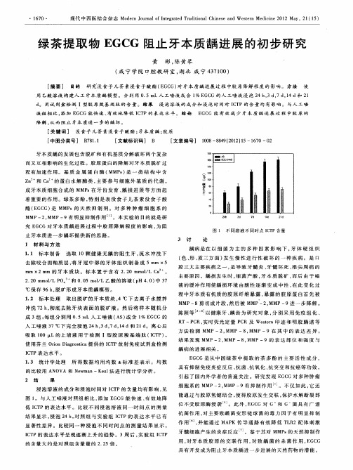 绿茶提取物EGCG阻止牙本质龋进展的初步研究