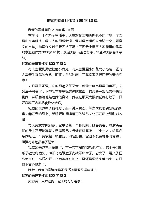 我家的泰迪狗作文300字10篇