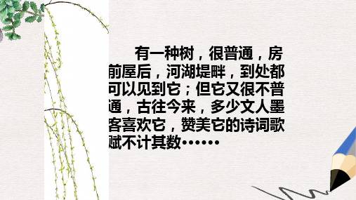六年级语文下册《杨柳》课件2 湘教版