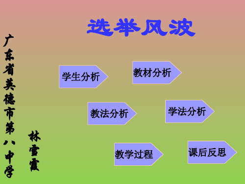 《选举风波》说课课件1