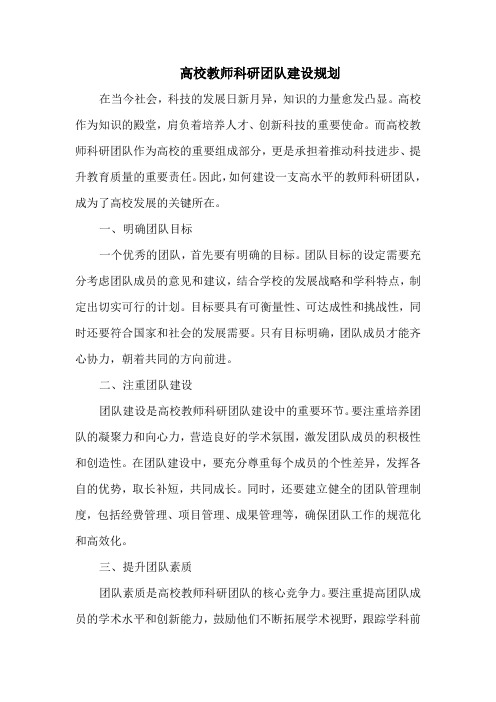 高校教师科研团队建设规划