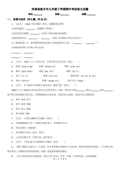 河南省新乡市九年级下学期期中考试语文试题