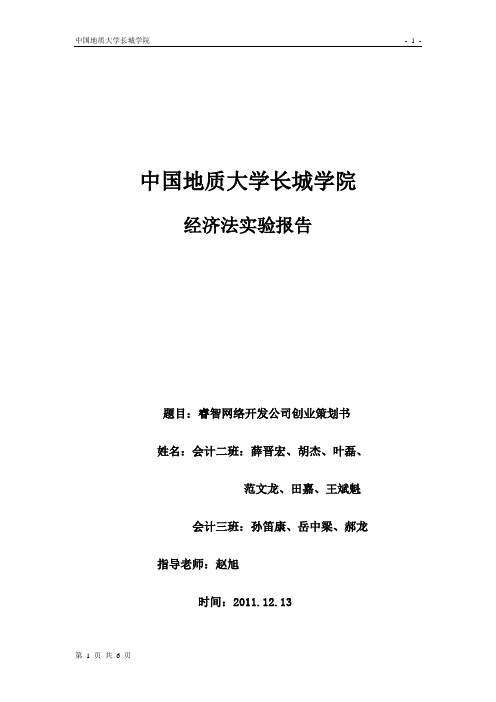 睿智网络开发公司创业策划书