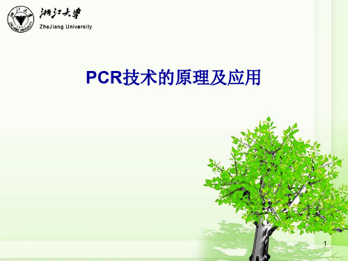 PCR技术的原理及应用ppt课件