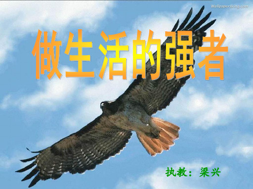 粤教版品德四年级上册《做生活的强者》PPT课件