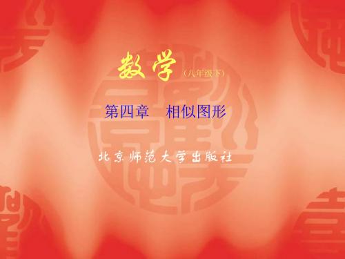 相似多边形[下学期]--北师大版-(新2019)