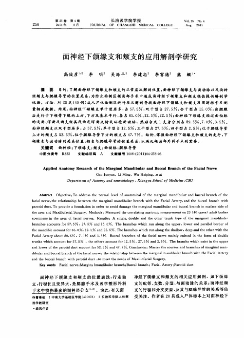 面神经下颌缘支和颊支的应用解剖学研究