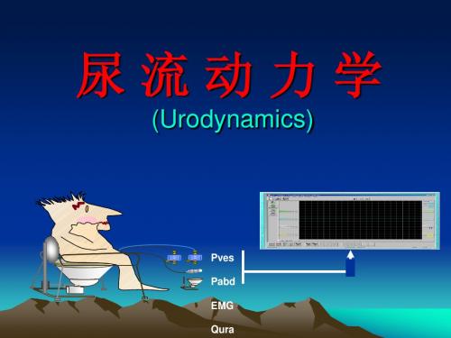 尿流动力学方法,意义等