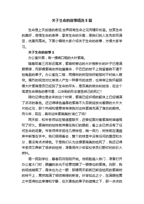 关于生命的故事精选5篇