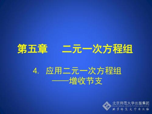 4 应用二元一次方程组——增收节支 演示文稿