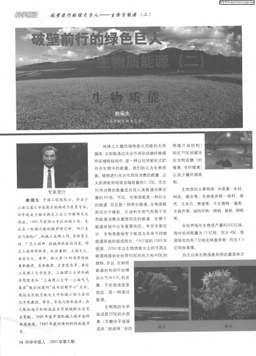 破壁前行的绿色巨人——生物质能源(二)——生物质能