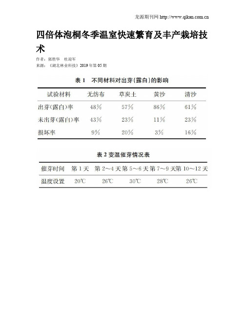 四倍体泡桐冬季温室快速繁育及丰产栽培技术