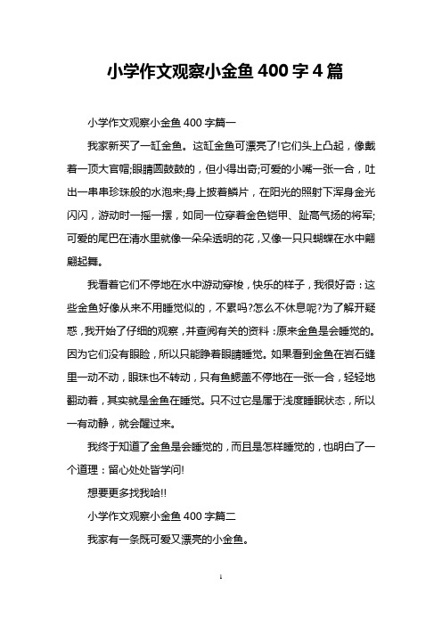 小学作文观察小金鱼400字4篇