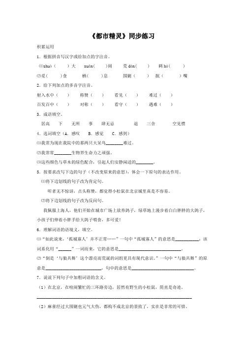 《都市精灵》同步练习1