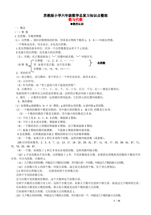 苏教版小学六年级总复习知识点整理