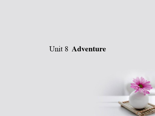 2018高考英语一轮复习构想 Unit 8 Adventure课件 北师大版必修3