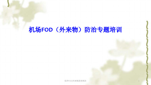 机坪FOD(外来物)防控培训课件