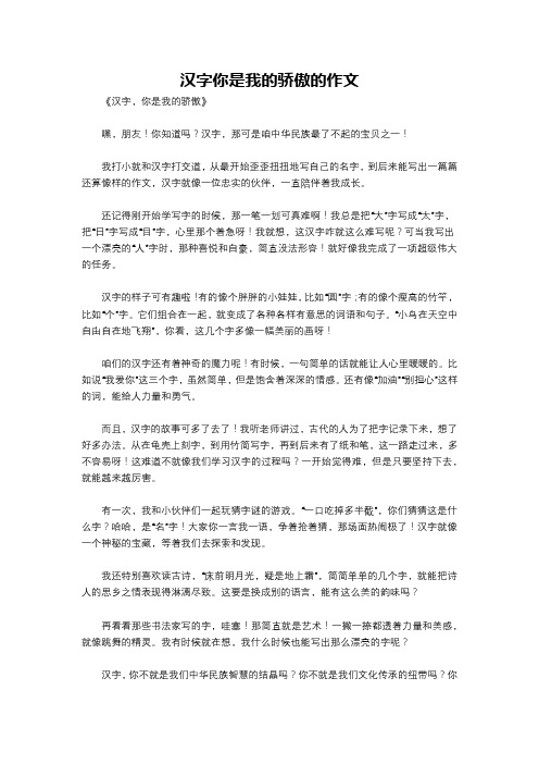 汉字你是我的骄傲的作文