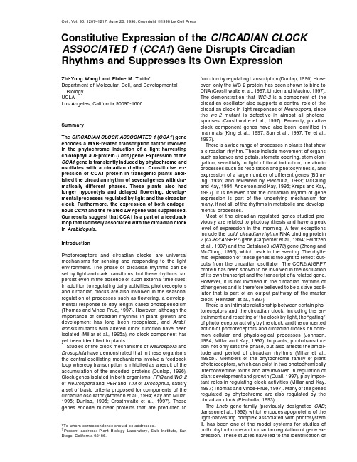 Constitutive Expression of the CIRCADIAN CLOCK ASSOCIATED