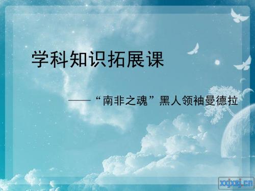 曼德拉与南非