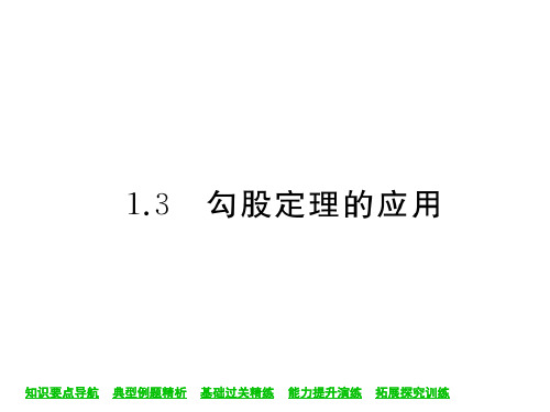 北师大版八年级上册数学勾股定理的应用习题课件(共35张)