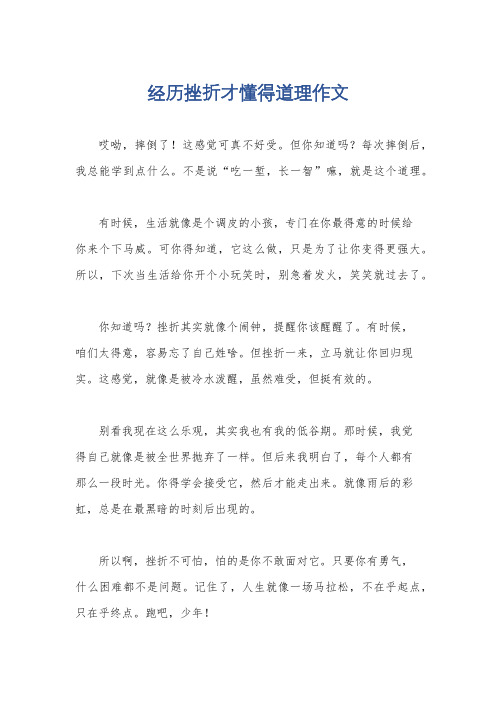 经历挫折才懂得道理作文