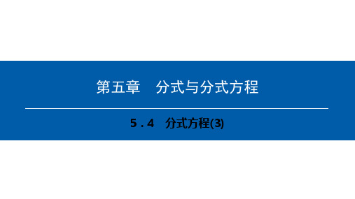 第五章 5.4 分式方程(3)