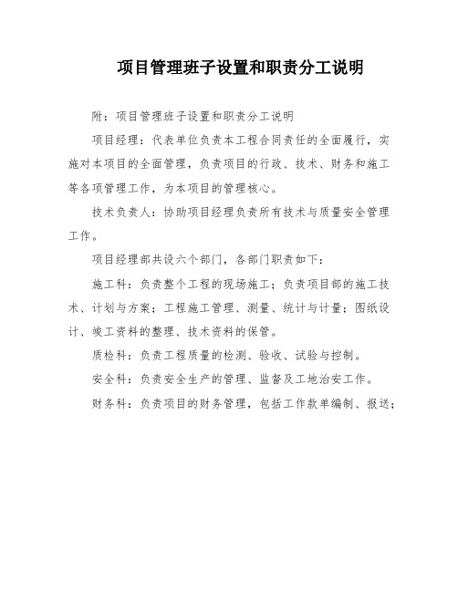 项目管理班子设置和职责分工说明