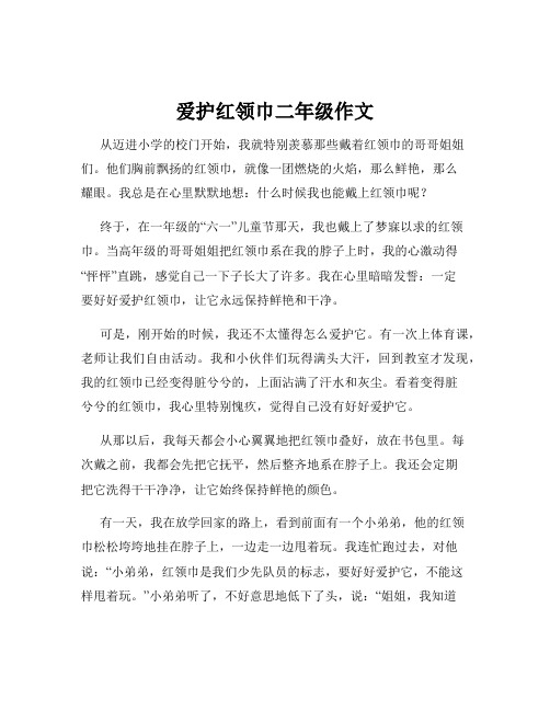 爱护红领巾二年级作文