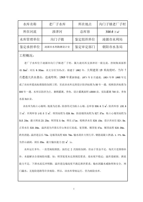 大坝安全鉴定报告书(市).doc老厂子
