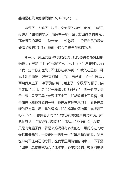 感动是心灵深处的震撼作文450字