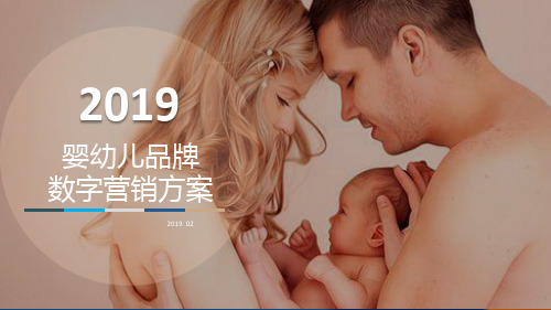 2019婴幼儿品牌数字营销策划案