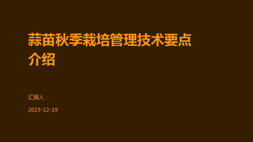 蒜苗秋季栽培管理技术要点介绍