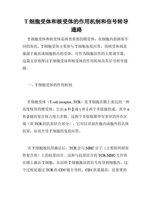 T细胞受体和核受体的作用机制和信号转导通路